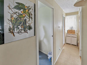 Photo 18- click for photo gallery